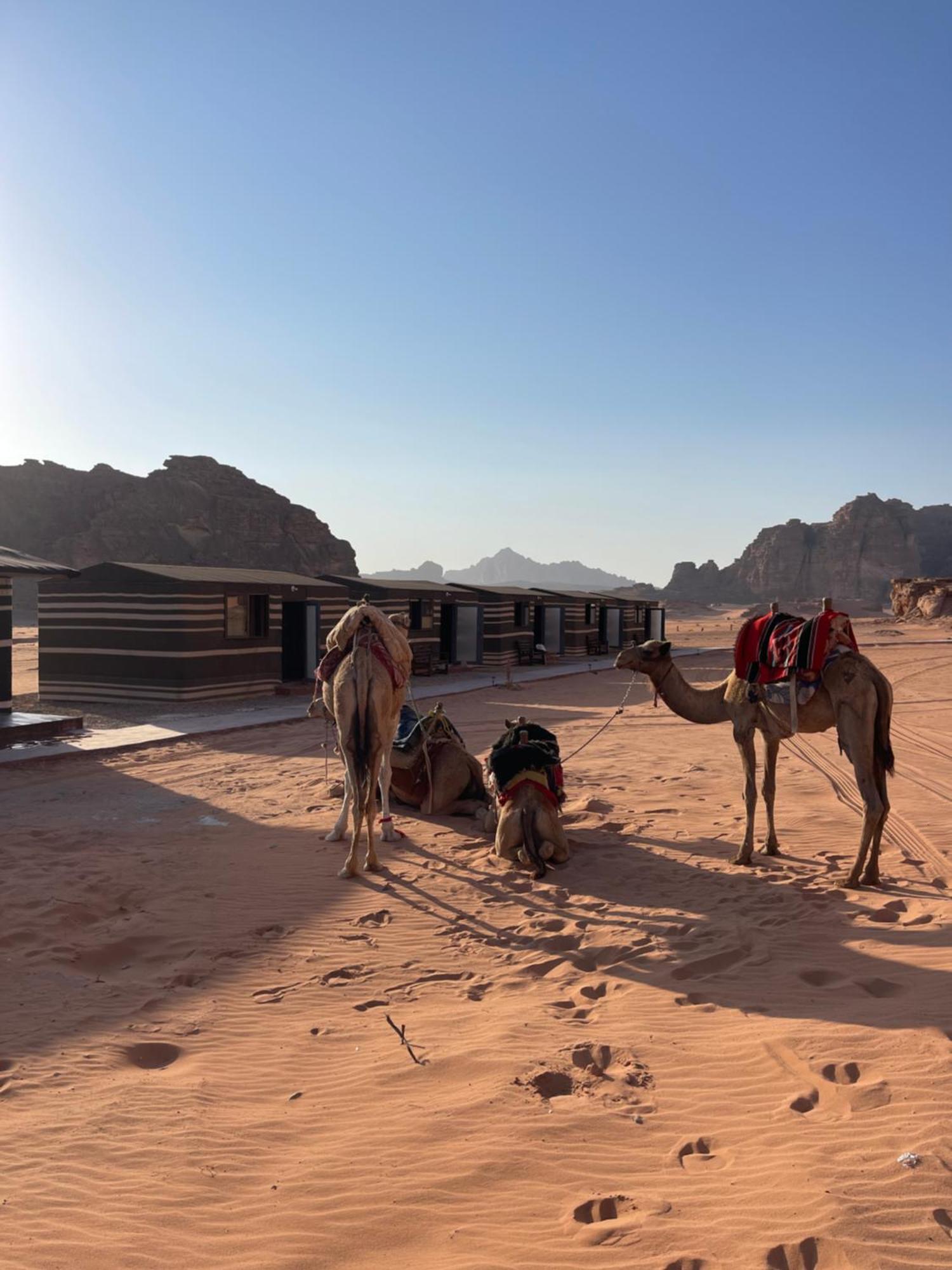 Wadi Rum Star Camp Dış mekan fotoğraf